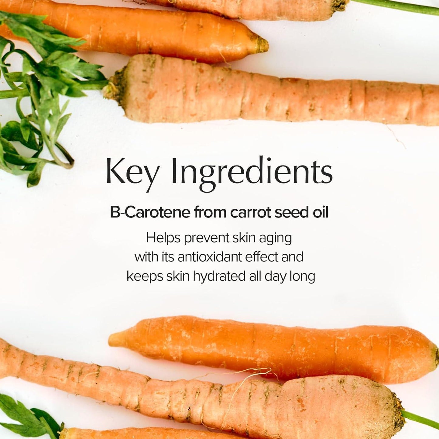 Skinfood Carrot Carotene Calming Water Pad (60ea)
